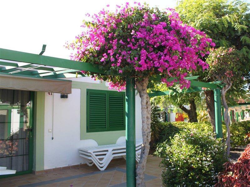Bungalows Cordial Sandy Golf Маспаломас Екстериор снимка